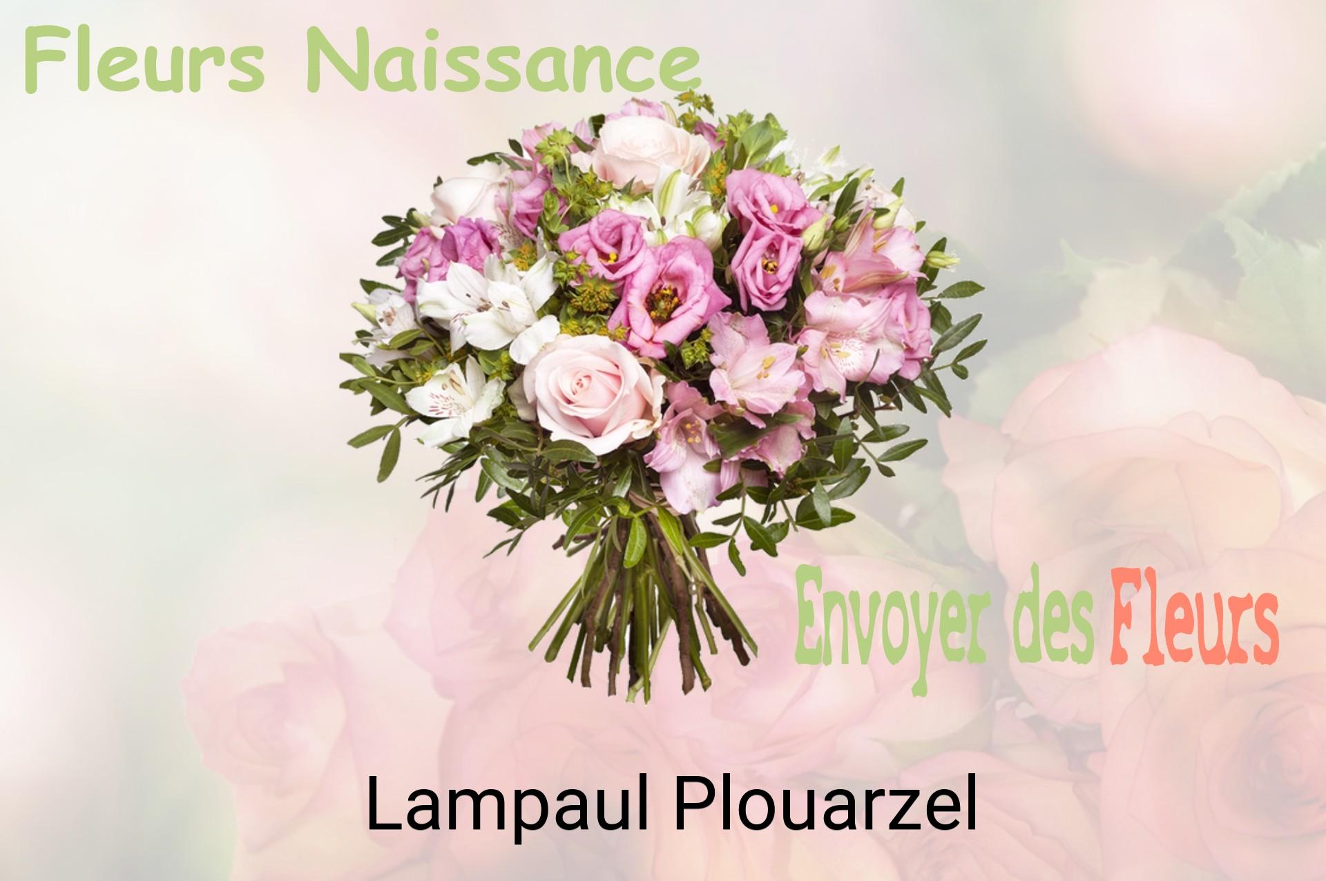 Bouquet de fleurs de naissance livré à Lampaul-Plouarzel